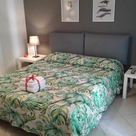 Bed & Breakfast Kaktus Bari