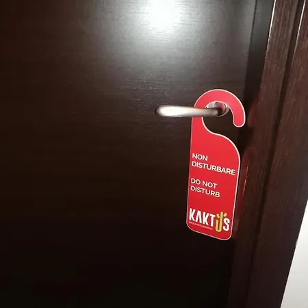 Kaktus