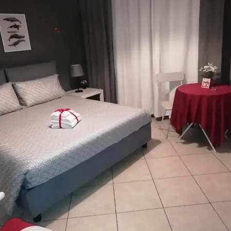 Kaktus 2*