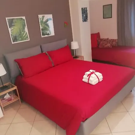 Kaktus 2*