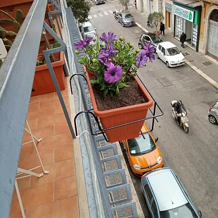 Kaktus Couette-café