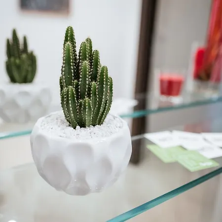 Kaktus Nocleg ze śniadaniem