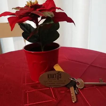 Couette-café Kaktus 4*