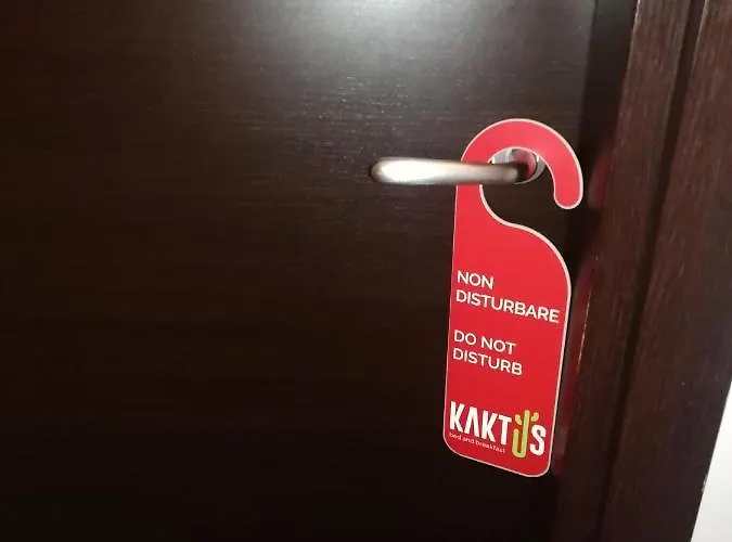 Kaktus
